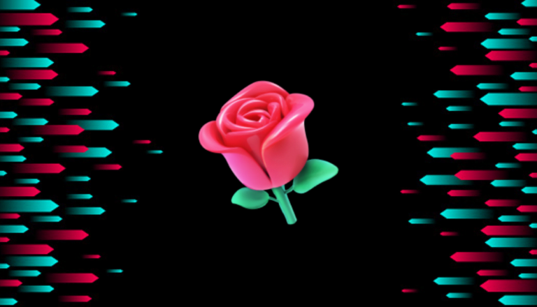 How much does a rose (flower) cost on TikTok? Price & Conversion